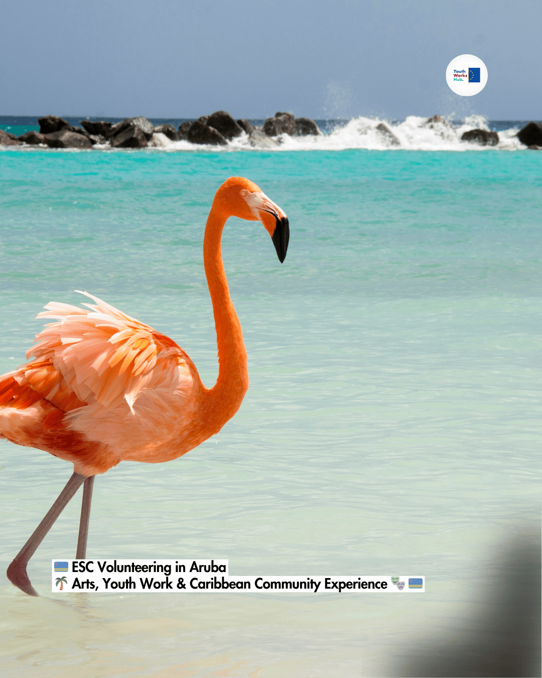 🇦🇼 ESC Volunteering in Aruba 🌴 Arts, Youth Work & Caribbean Community Experience 🎭 🇦🇼