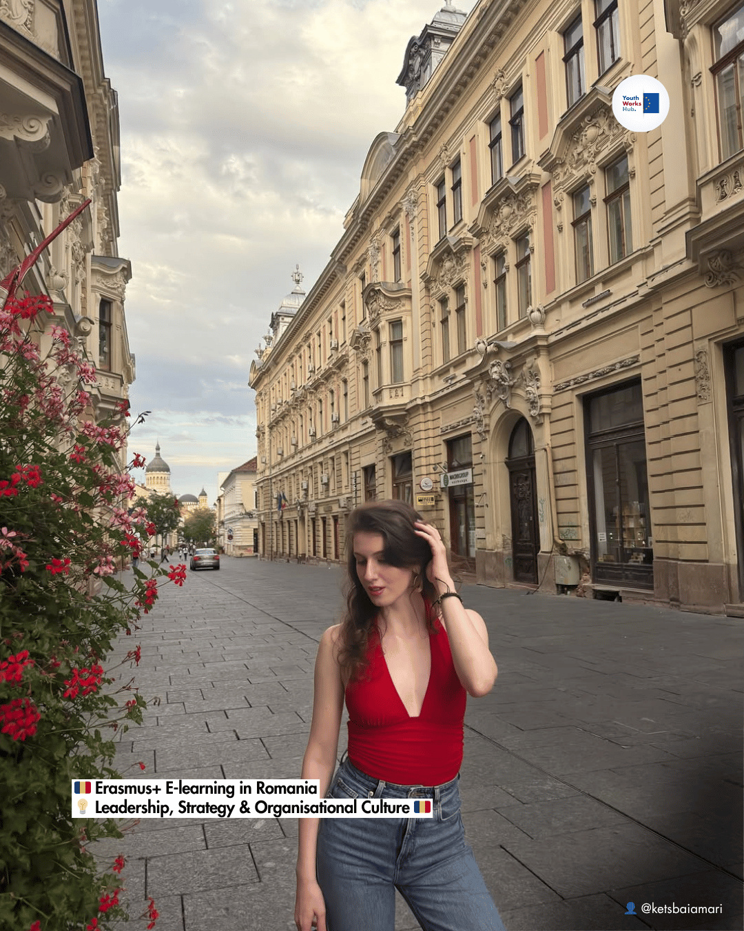 🇷🇴 Erasmus+ E-learning in Romania 💡 Leadership, Strategy & Organisational Culture 🇷🇴