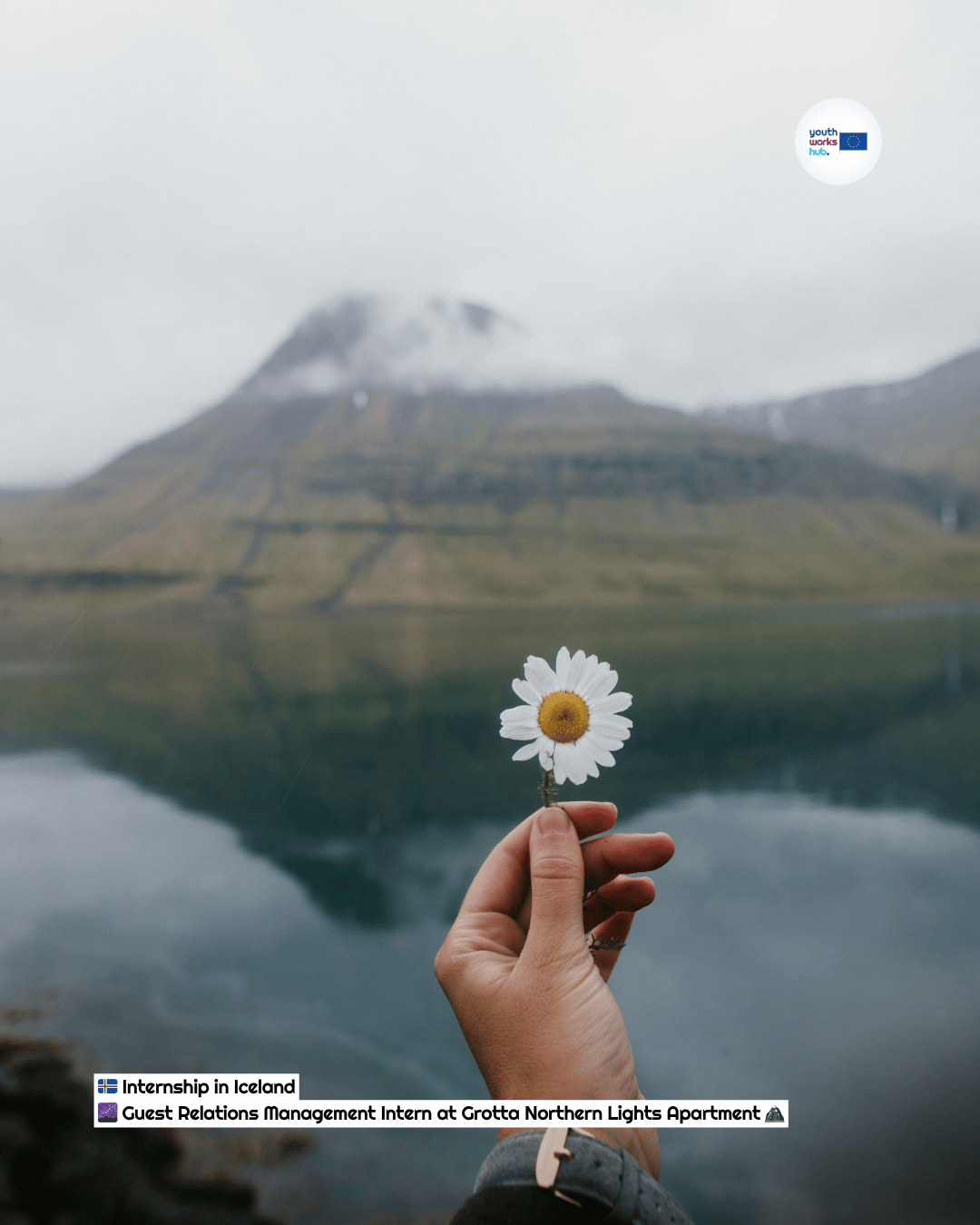 🇮🇸 Internship in Iceland 🌌 Guest Relations Management Intern at Grotta Northern Lights Apartment 🏔️