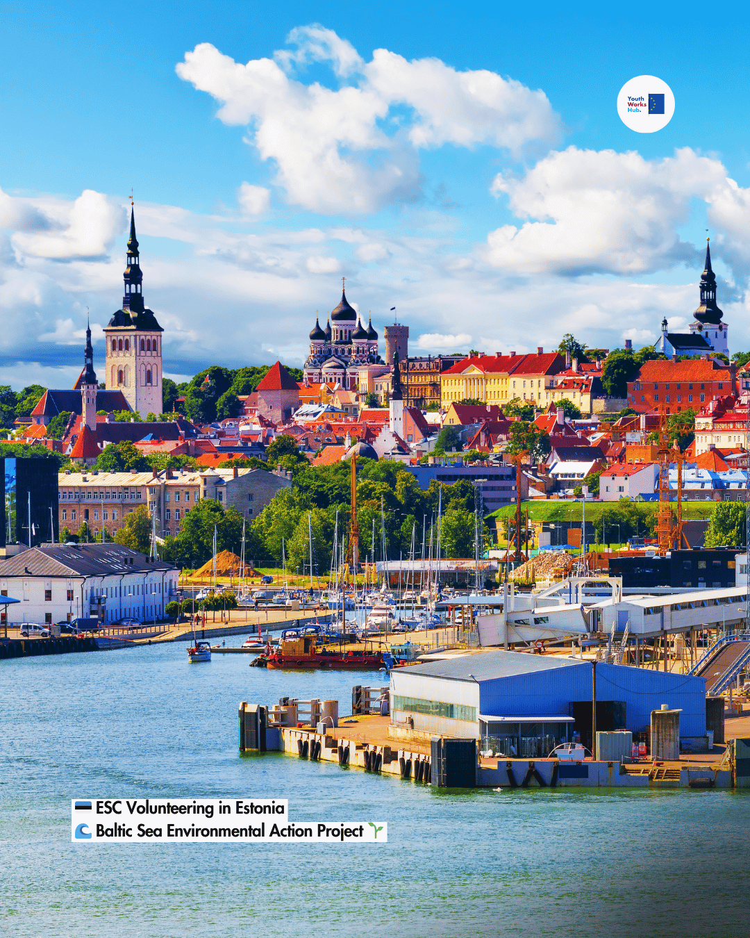 🇪🇪 ESC Volunteering in Estonia 🌊 Baltic Sea Environmental Action Project 🌱