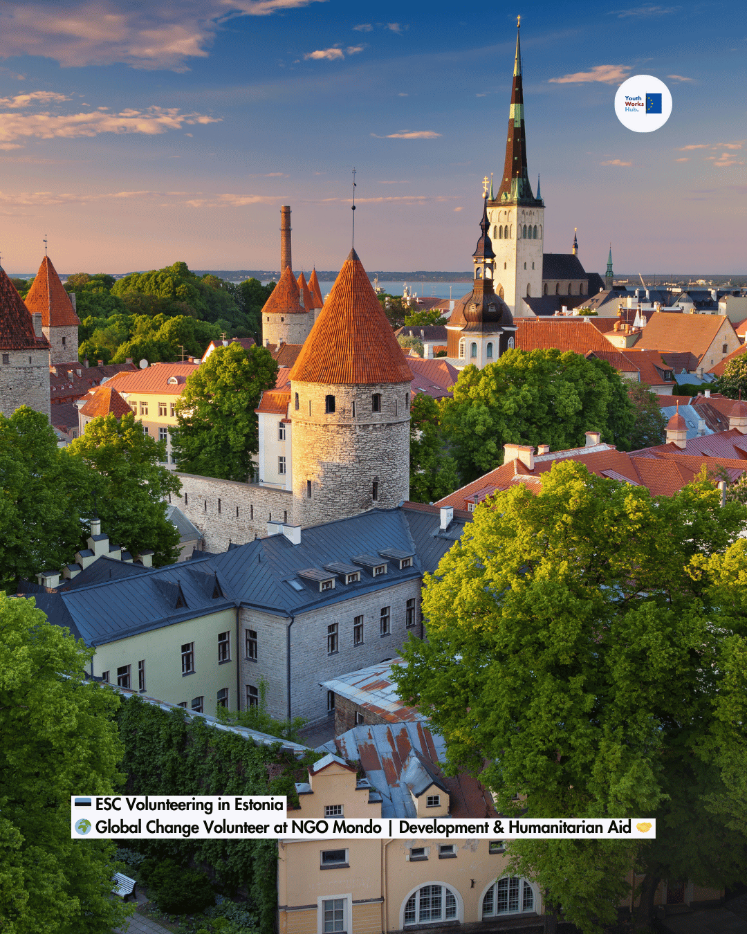 🇪🇪 ESC Volunteering in Estonia 🌍 Global Change Volunteer at NGO Mondo — International Development & Humanitarian Aid 🤝
