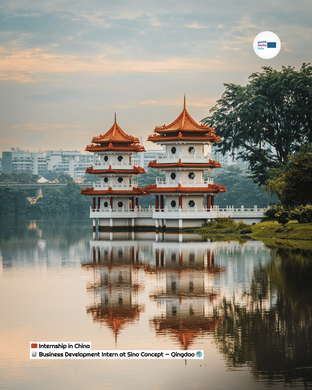 🇨🇳 Internship in China 📊 Business Development Intern at Sino Concept — Qingdao 🌏