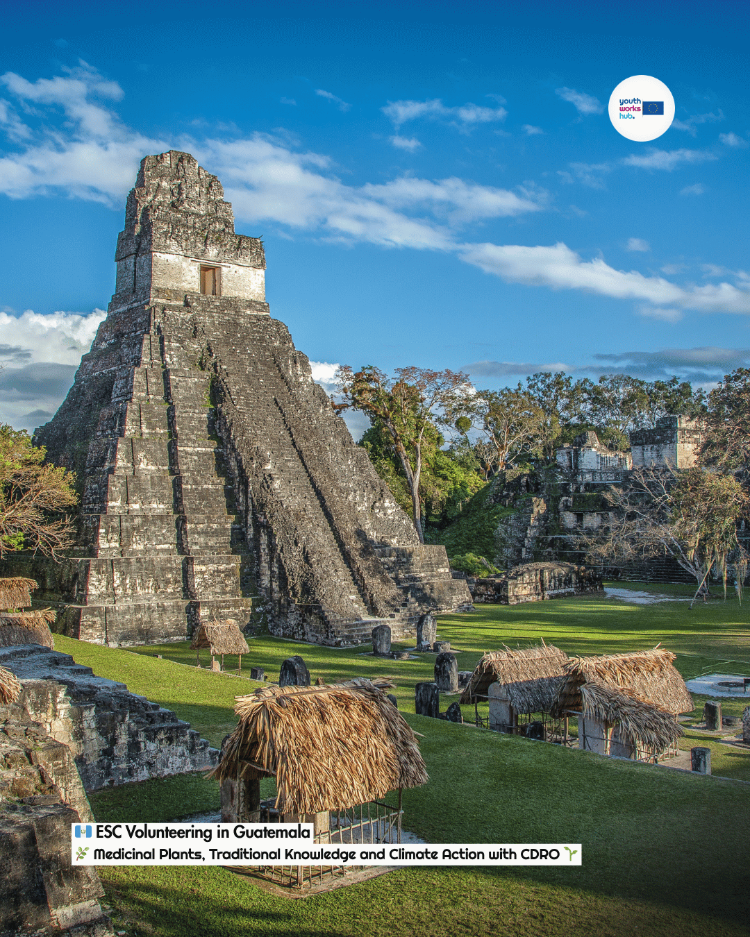 🇬🇹 ESC Volunteering in Guatemala 🌿 Medicinal Plants, Traditional Knowledge and Climate Action with CDRO 🌱