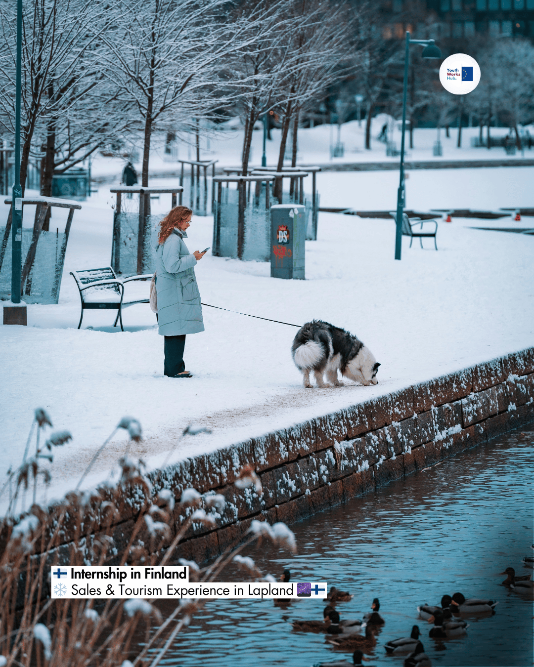 🇫🇮 Internship in Finland ❄️ Sales & Tourism Experience in Lapland 🌌🇫🇮