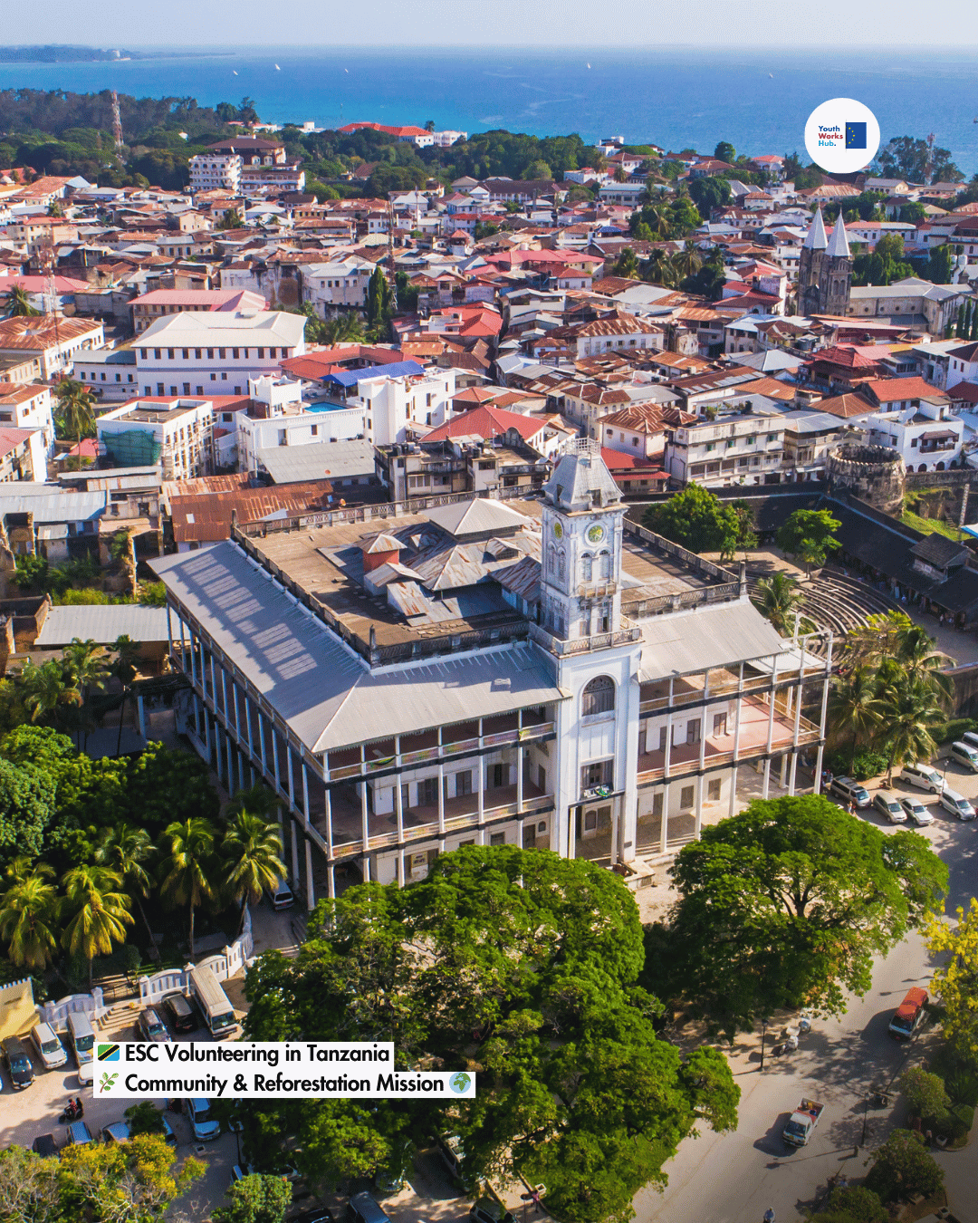 🇹🇿 ESC Volunteering in Tanzania 🌿 Community & Reforestation Mission 🌍