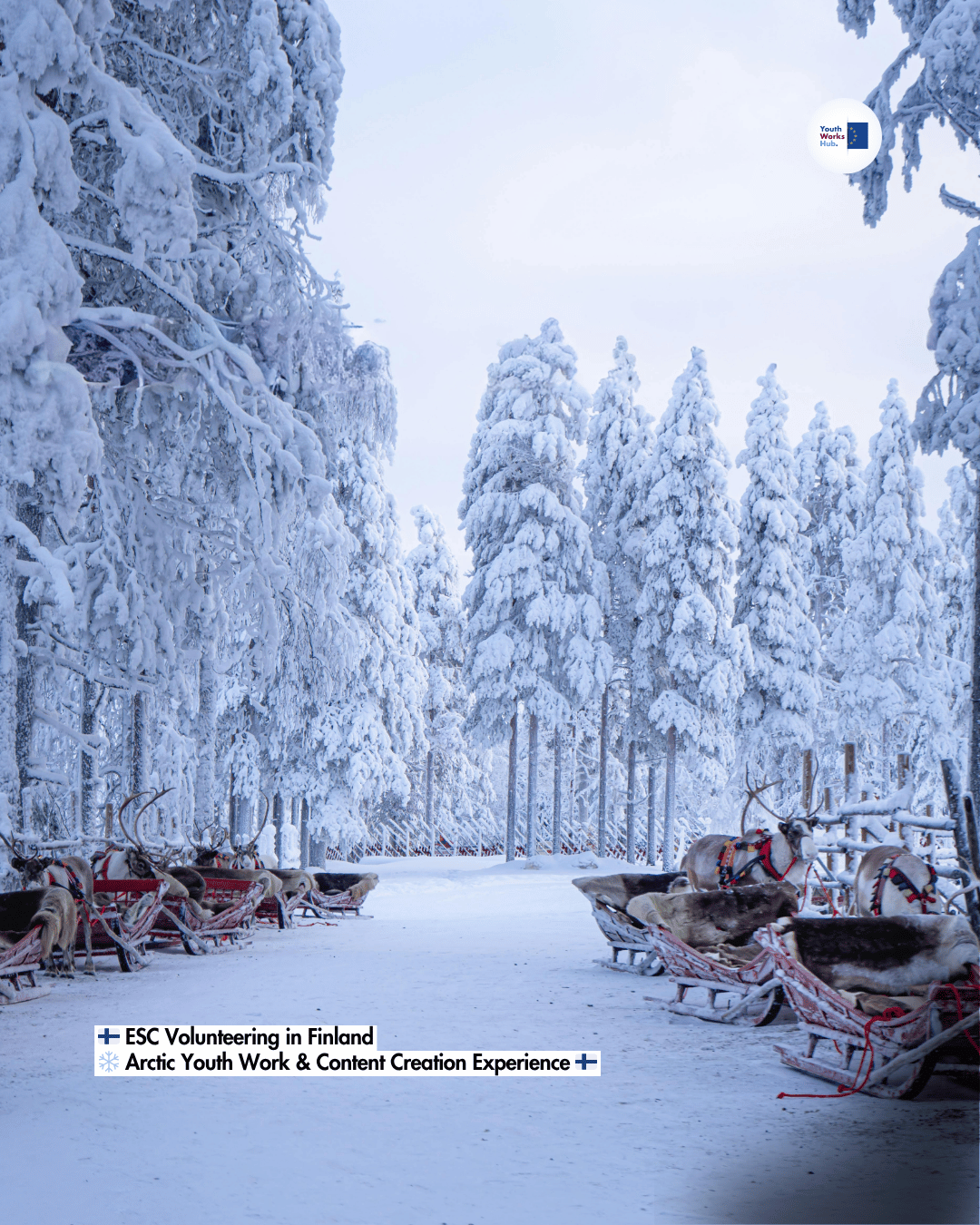 🇫🇮 ESC Volunteering in Finland ❄️ Arctic Youth Work & Content Creation Experience 🇫🇮