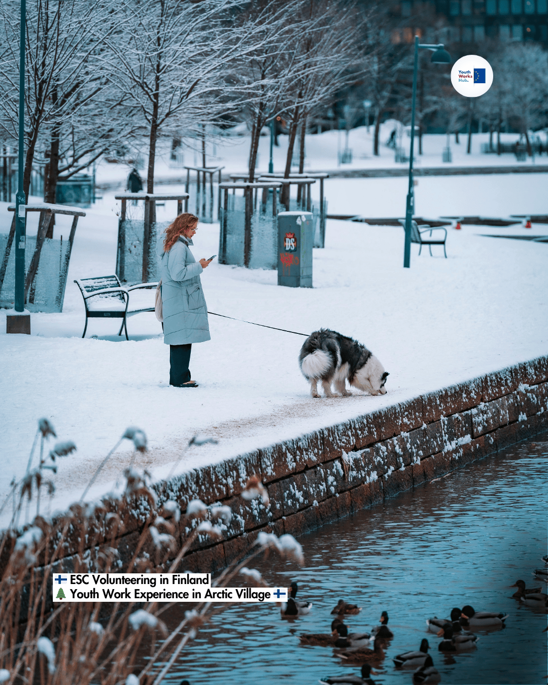 🇫🇮 ESC Volunteering in Finland 🌲 Youth Work Experience in Arctic Village 🇫🇮