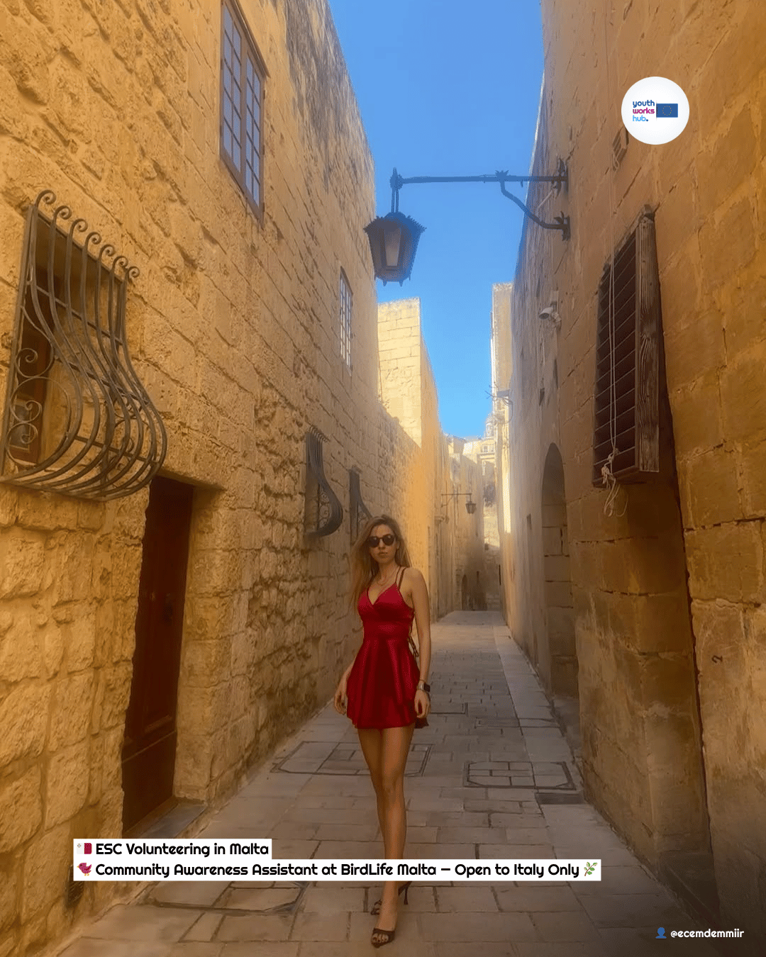 🇲🇹 ESC Volunteering in Malta 🐦 Community Awareness Assistant at BirdLife Malta — Open to Italy Only 🌿