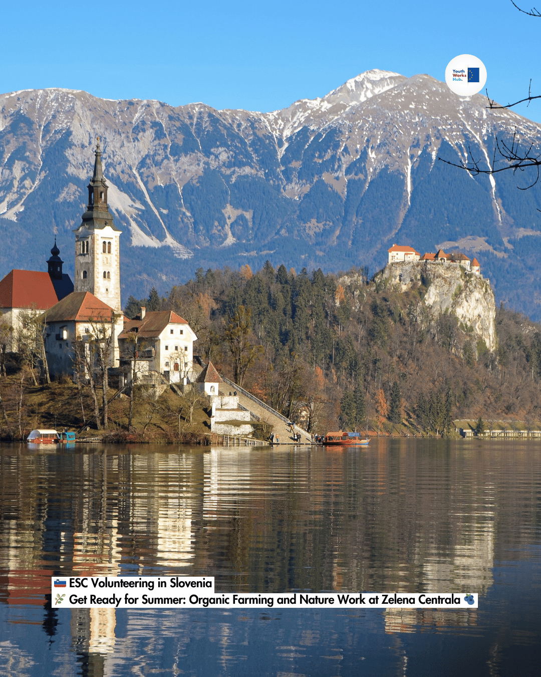 🇸🇮 ESC Volunteering in Slovenia 🌿 Get Ready for Summer: Organic Farming and Nature Work at Zelena Centrala 🫐