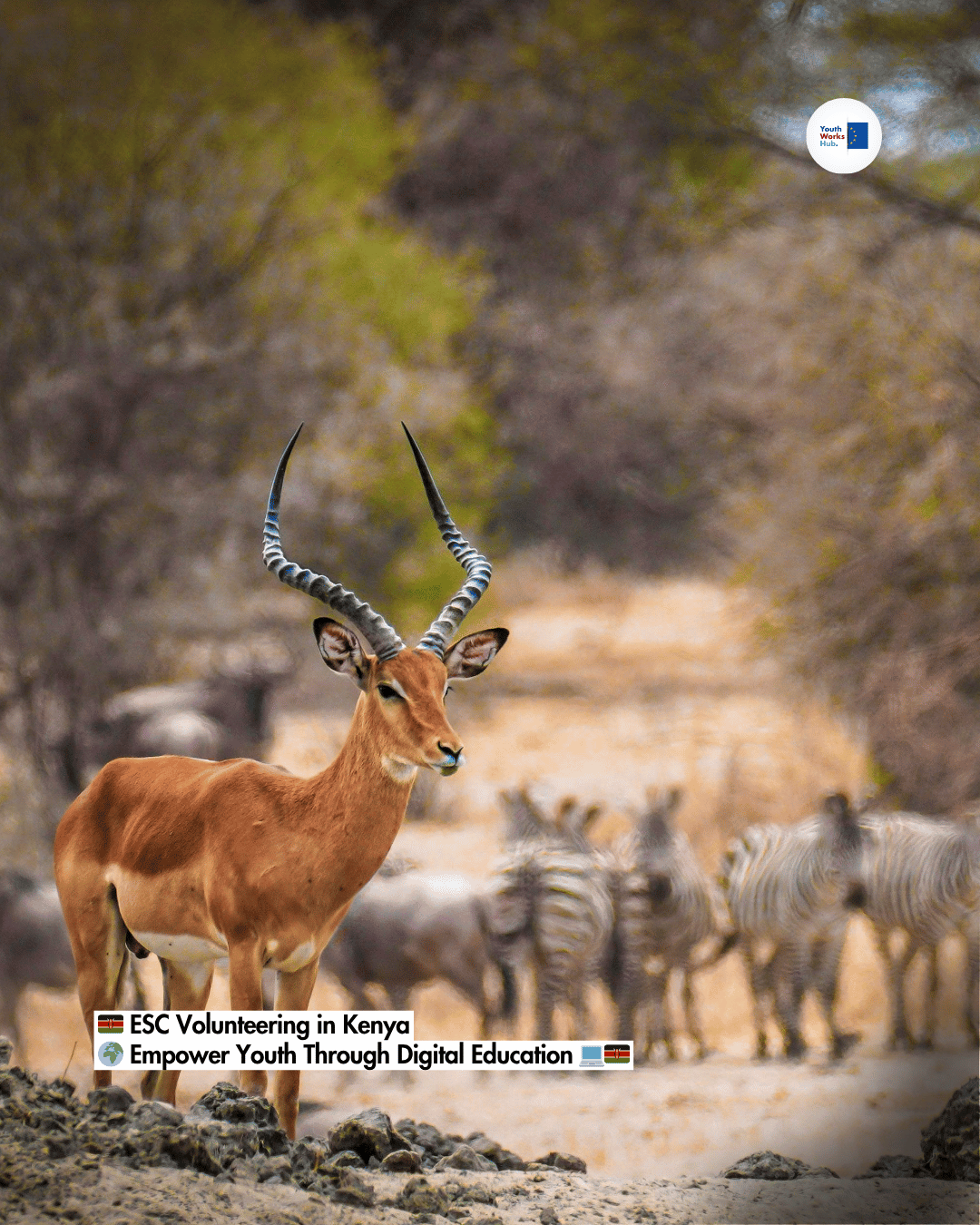 🇰🇪 ESC Volunteering in Kenya 🌍 Empower Youth Through Digital Education 💻🇰🇪