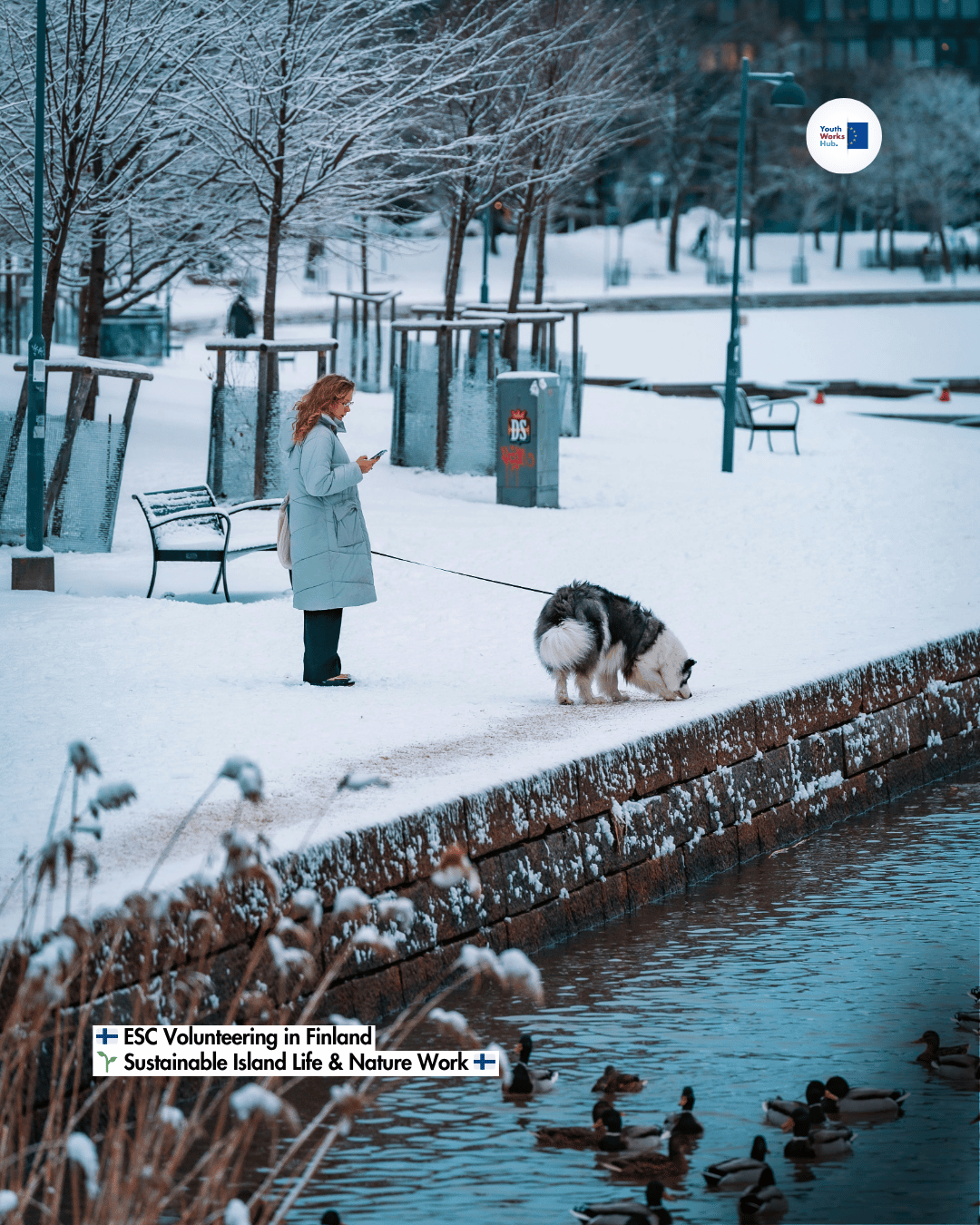 🇫🇮 ESC Volunteering in Finland 🌱 Sustainable Island Life & Nature Work 🇫🇮