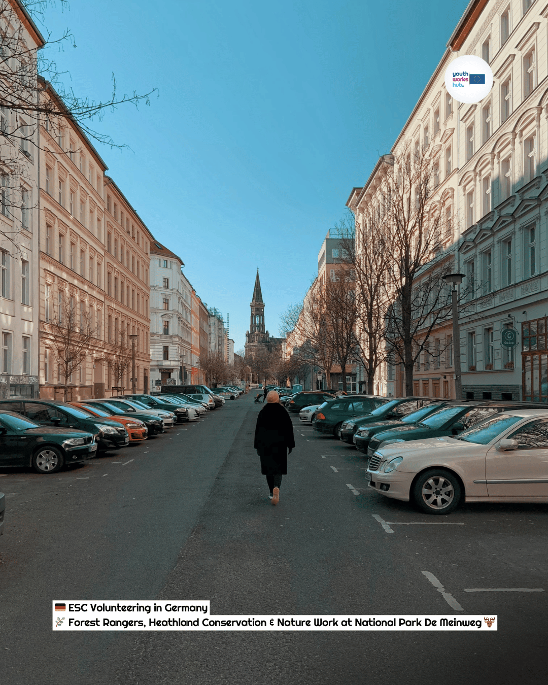 🇩🇪 ESC Volunteering in Germany 🌿 Forest Rangers, Heathland Conservation & Nature Work at National Park De Meinweg 🦌